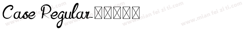 Case Regular字体转换
